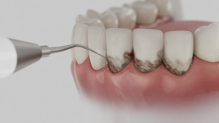 Reliable Dental contractor in Punxsutawney, PA by Dentist Open Now
